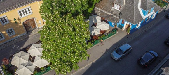 3 rooms Commercial property in Dobling, Austria No. 91717 14