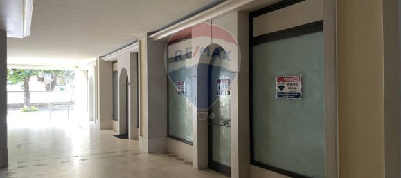 1 room Commercial property in Belluno, Italy No. 64411 8