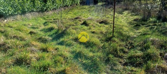 1 Schlafzimmer Haus in Charost, France, Nr. 50080 39