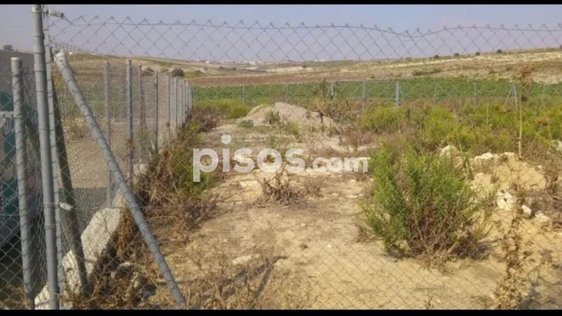  Land in Sanlucar de Barrameda, Spain No. 250406