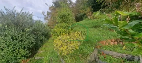 4 bedrooms House in Caminha, Portugal No. 120350 24