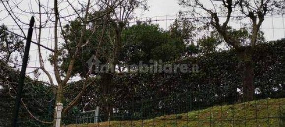 3-Zimmer Wohnung in Ameglia, Italy, Nr. 205485 13