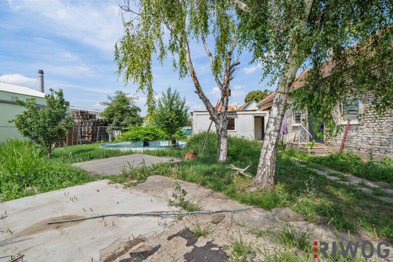 7غرفة منزل في Schwechat, Austria رقم 203774