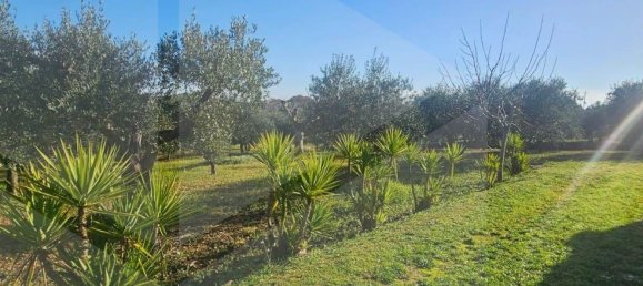 10 rooms Villa in Locorotondo, Italy No. 18909 40