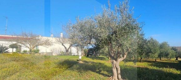 10 rooms Villa in Locorotondo, Italy No. 18909 37