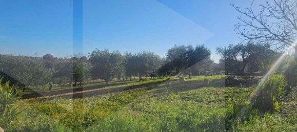 10 rooms Villa in Locorotondo, Italy No. 18909 41