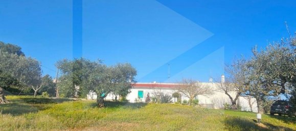 10 rooms Villa in Locorotondo, Italy No. 18909 3