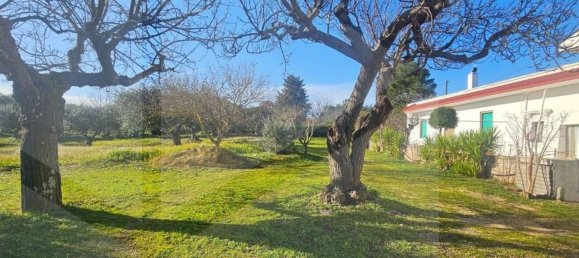 10 rooms Villa in Locorotondo, Italy No. 18909 5