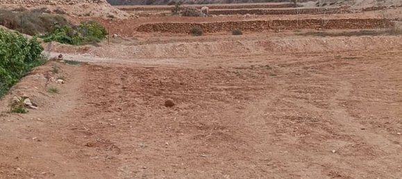  Land in Puerto Del Rosario, Spain No. 152043 18