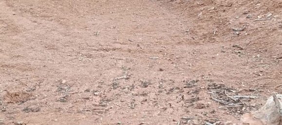  Land in Puerto Del Rosario, Spain No. 152043 22