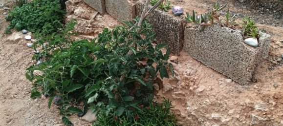  Land in Puerto Del Rosario, Spain No. 152043 20