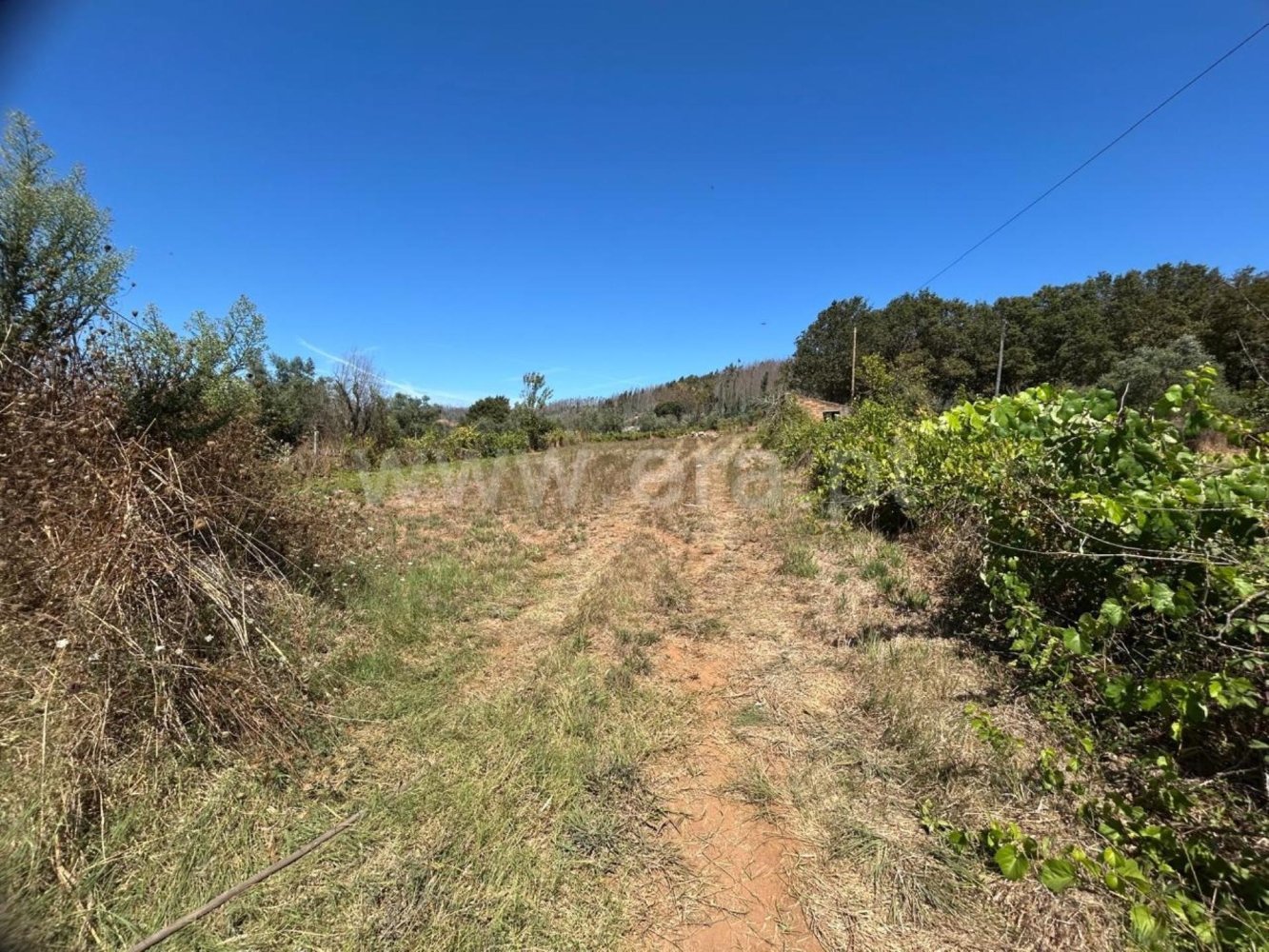  Land in Macinhata do Vouga, Portugal No. 277579
