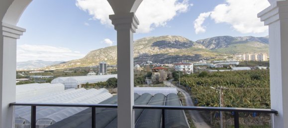 Apartment 1+1 in Mahmutlar, Turkey No. 31633 24