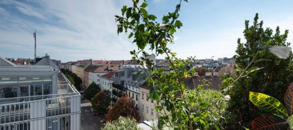 Apartamento de 6 habitaciónes en Margareten, Austria No. 207421 11