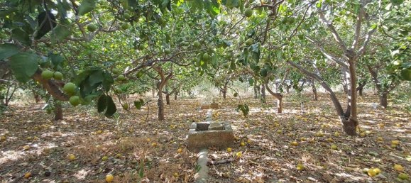 5900m² Land in Campofelice di Roccella, Italy No. 284666 18