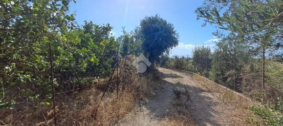 5900m² Land in Campofelice di Roccella, Italy No. 284666 14