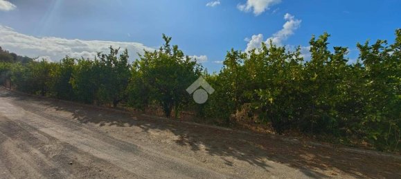 5900m² Land in Campofelice di Roccella, Italy No. 284666 7