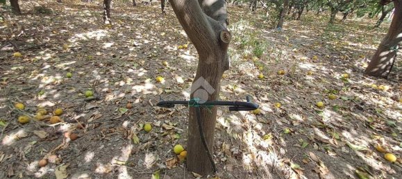 5900m² Land in Campofelice di Roccella, Italy No. 284666 21