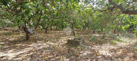 5900m² Land in Campofelice di Roccella, Italy No. 284666 19