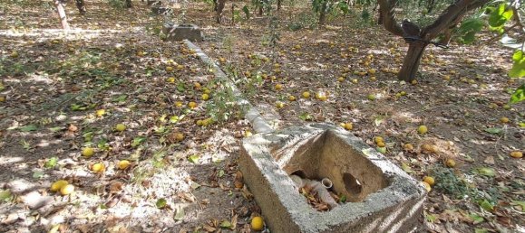 5900m² Land in Campofelice di Roccella, Italy No. 284666 22