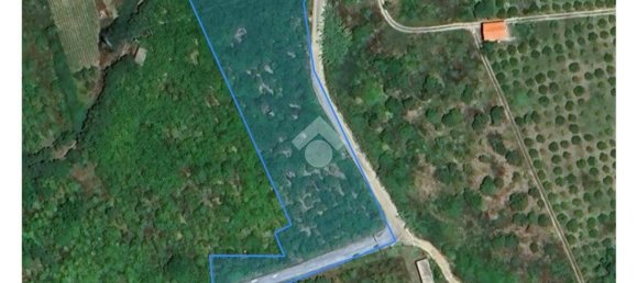5900m² Land in Campofelice di Roccella, Italy No. 284666 3