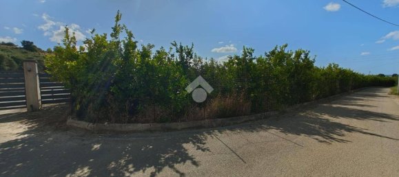5900m² Land in Campofelice di Roccella, Italy No. 284666 9