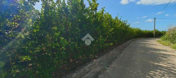 5900m² Land in Campofelice di Roccella, Italy No. 284666 6