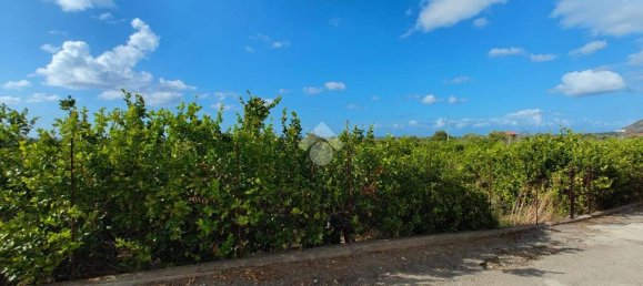 5900m² Land in Campofelice di Roccella, Italy No. 284666 12