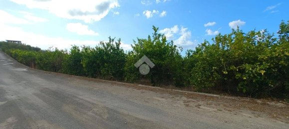 5900m² Land in Campofelice di Roccella, Italy No. 284666 8