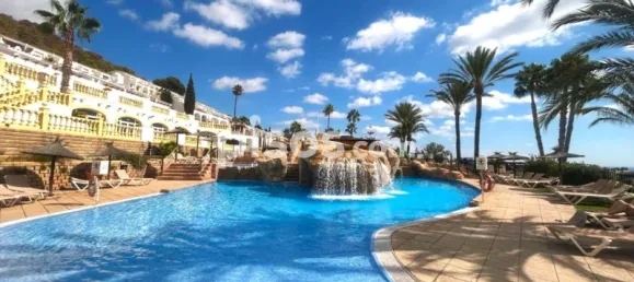 Apartamento de 1 dormitorio en Calpe, Spain No. 42245 16