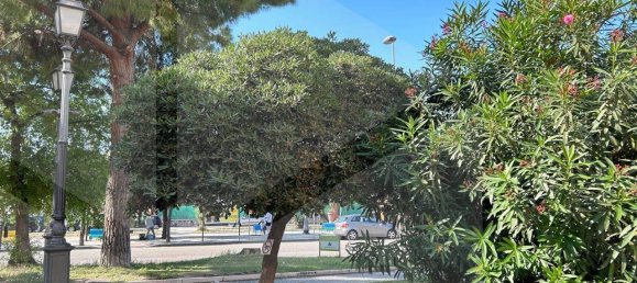 1 room Commercial property in Manfredonia, Italy No. 22220 3