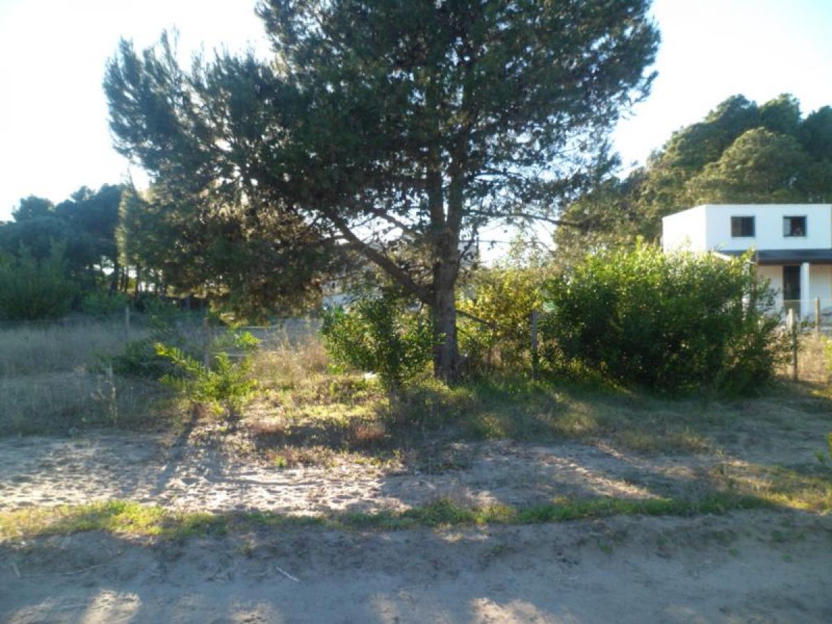 Grundstück in Mar del Plata, Argentina, Nr. 115941