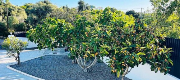 5 Schlafzimmer Villa in Loule, Portugal, Nr. 113973 28