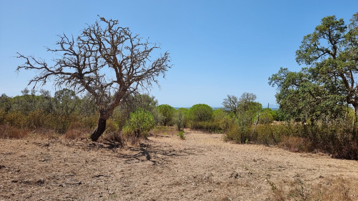 7 bedrooms Villa in Grandola, Portugal No. 100914