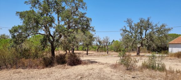 7 bedrooms Villa in Grandola, Portugal No. 100914 15