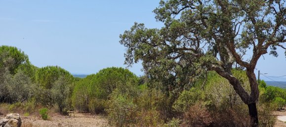 7 bedrooms Villa in Grandola, Portugal No. 100914 16