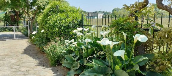 9 rooms House in Mathi, Italy No. 133398 35