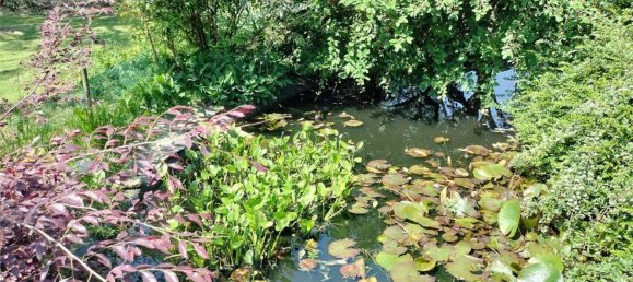 9 rooms House in Mathi, Italy No. 133398 33