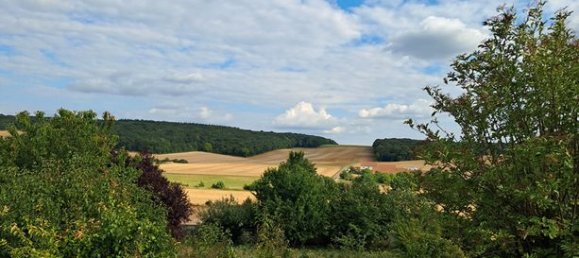 4 bedrooms House in Sens, France No. 310307 11