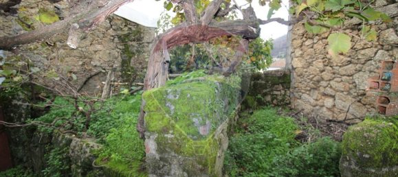 1 bedroom House in Pero Viseu, Portugal No. 179506 2