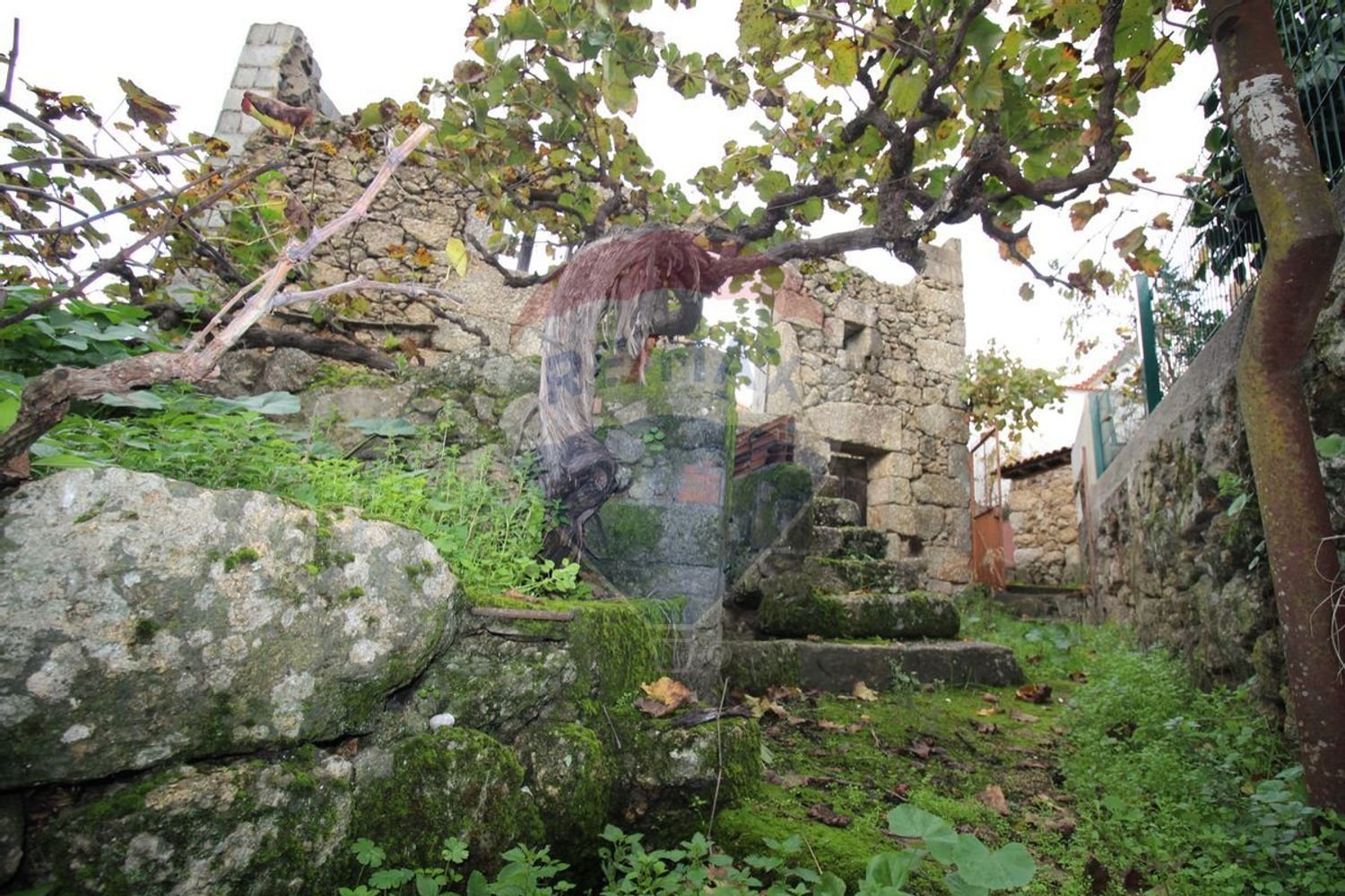 1 bedroom House in Pero Viseu, Portugal No. 179506