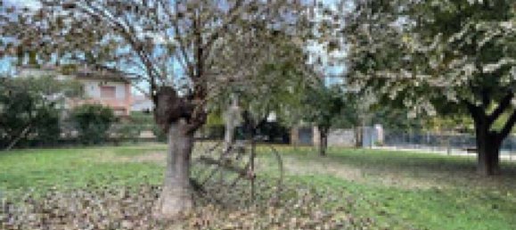 3 rooms Villa in Santa Lucia di Piave, Italy No. 294320 6