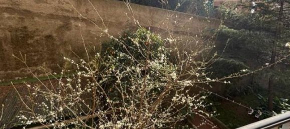 7-Zimmer Wohnung in Genoa, Italy, Nr. 12790 9