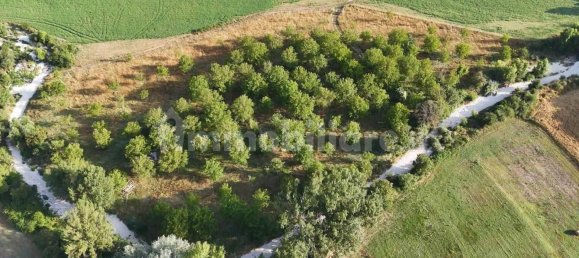 15910m² Land in Vacone, Italy No. 262896 4