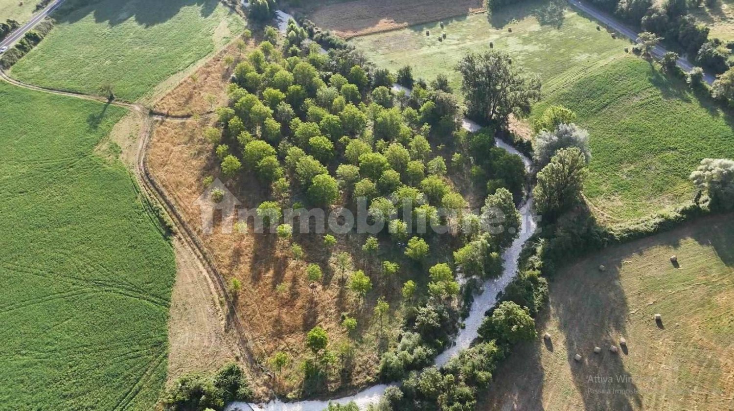 15910m² Land in Vacone, Italy No. 262896