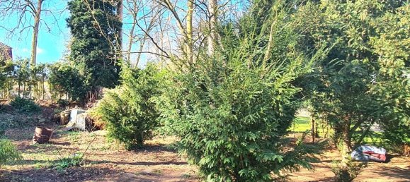 2 غرف نوم بنغالو في Oberhavel, Germany رقم 234079 4