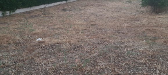  Land in Calatayud, Spain No. 190156 4