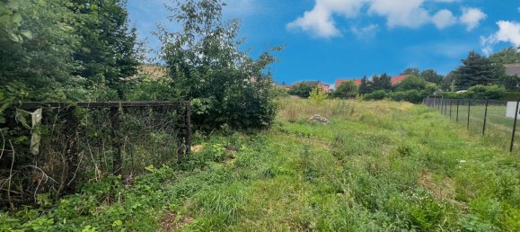  قطعة أرض في Nordsachsen, Germany رقم 247380 8