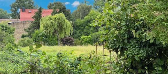  قطعة أرض في Nordsachsen, Germany رقم 247380 9