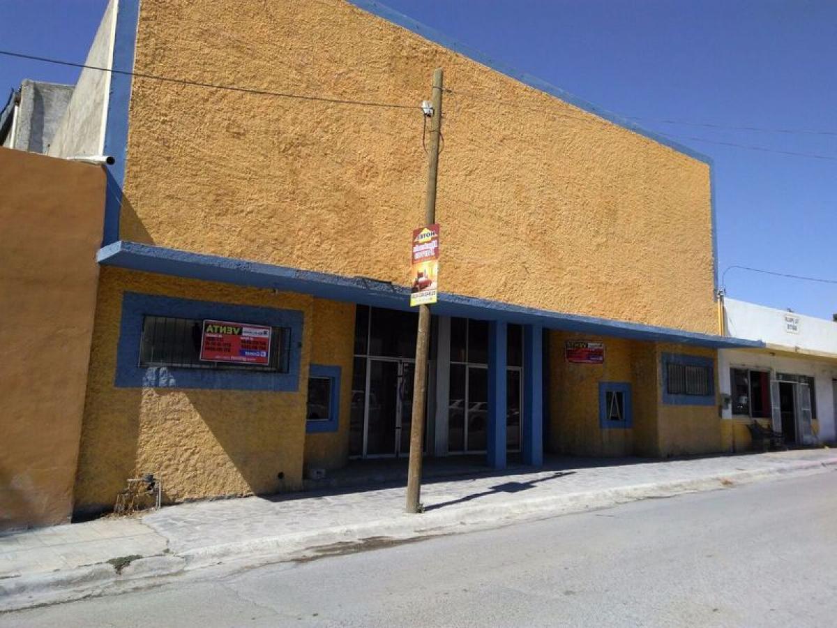 Здание в Плая Висенте, Мексика № 202493